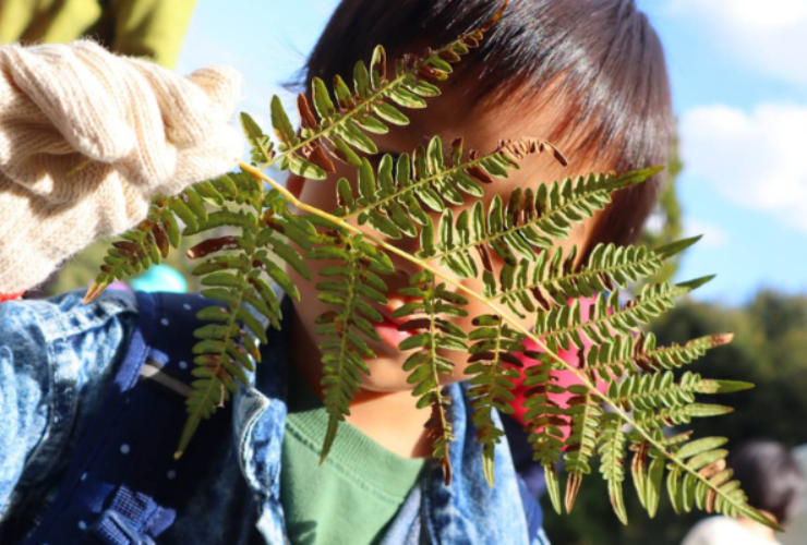 秋を見つけよう!子どもと一緒に楽しむ山のお散歩